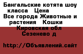 Бангальские котята шоу класса › Цена ­ 25 000 - Все города Животные и растения » Кошки   . Кировская обл.,Сезенево д.